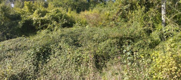 Дом с 1 спальней в Эр и Луар, Франция № 43792 2