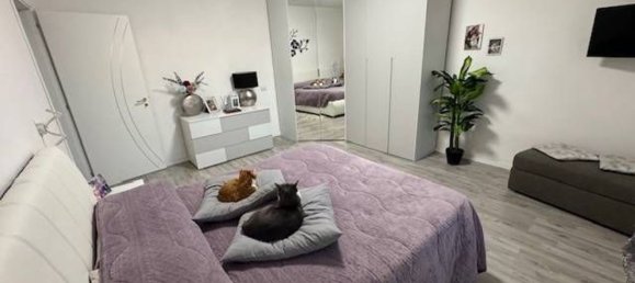 4 bedrooms House in Vellezzo Bellini, Italy No. 365661 19