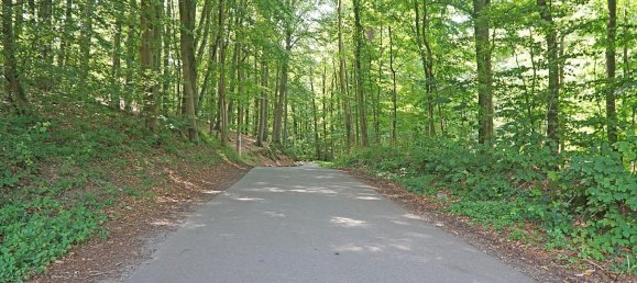 6-Zimmer Stadthaus in Rendsburg-Eckernförde, Germany, Nr. 58827 2