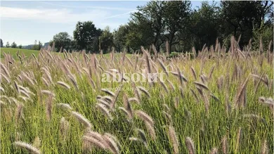  Land in Zell am See, Austria No. 118191
