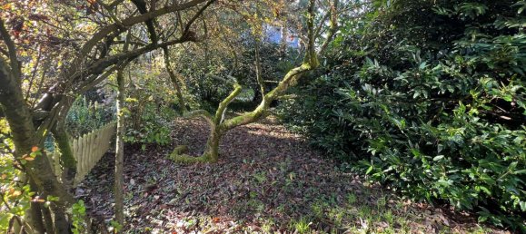 4 Schlafzimmer Stadthaus in Wuppertal, Germany, Nr. 82724 3