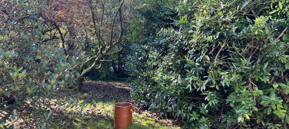 4 Schlafzimmer Stadthaus in Wuppertal, Germany, Nr. 82724 2