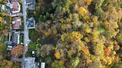  Land in Liesing, Austria No. 50239