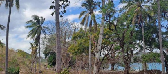 Terreno em West Nusa Tenggara, Indonesia 27200 m² N.º 4313 19