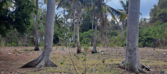 Terreno em West Nusa Tenggara, Indonesia 27200 m² N.º 4313 28