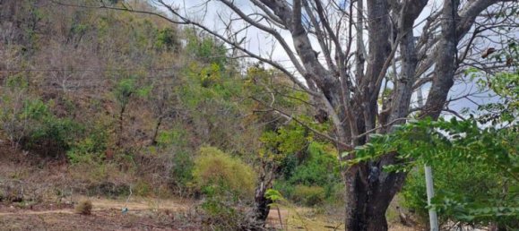 Terreno em West Nusa Tenggara, Indonesia 27200 m² N.º 4313 27