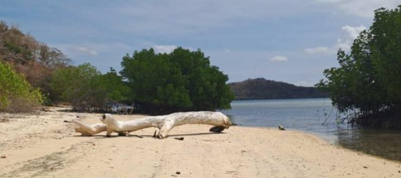 Terreno em West Nusa Tenggara, Indonesia 27200 m² N.º 4313 7