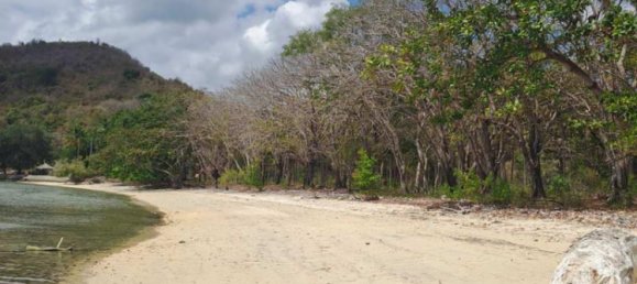 Terreno em West Nusa Tenggara, Indonesia 27200 m² N.º 4313 9