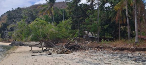 Terreno em West Nusa Tenggara, Indonesia 27200 m² N.º 4313 5