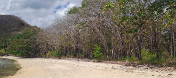 Terreno em West Nusa Tenggara, Indonesia 27200 m² N.º 4313 11