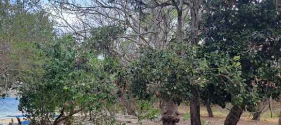 Terreno em West Nusa Tenggara, Indonesia 27200 m² N.º 4313 29