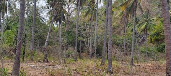 Terreno em West Nusa Tenggara, Indonesia 27200 m² N.º 4313 21