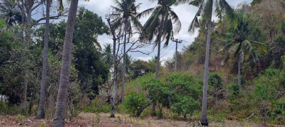 Terreno em West Nusa Tenggara, Indonesia 27200 m² N.º 4313 25