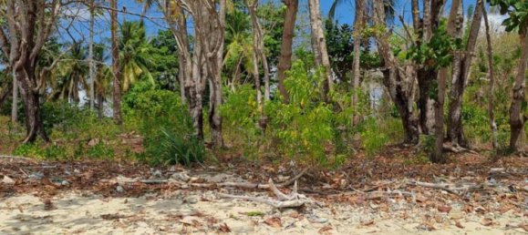 Terreno em West Nusa Tenggara, Indonesia 27200 m² N.º 4313 10