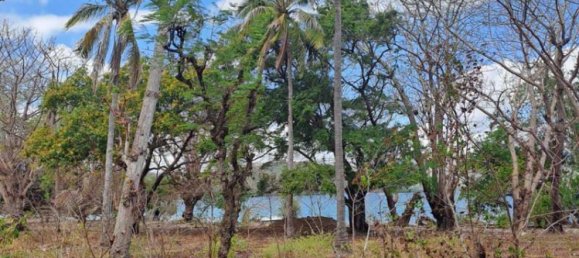 Terreno em West Nusa Tenggara, Indonesia 27200 m² N.º 4313 15