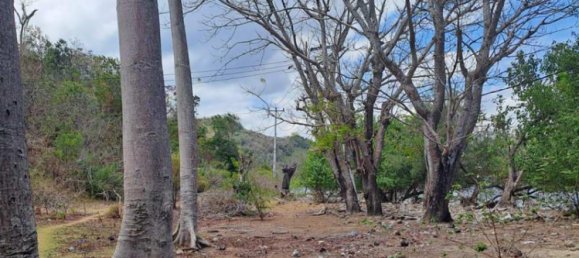 Terreno em West Nusa Tenggara, Indonesia 27200 m² N.º 4313 30