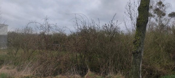 Propriété commerciale à Nordsachsen, Germany 4900m² No. 346640 2