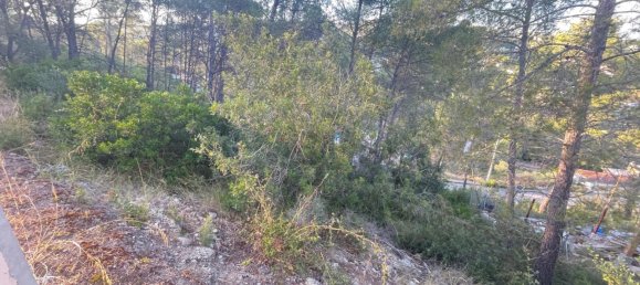  Land in Olivella, Spain No. 175628 6