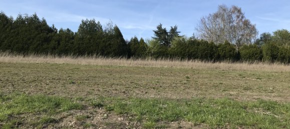  قطعة أرض في Ernestviller, France رقم 93949 7