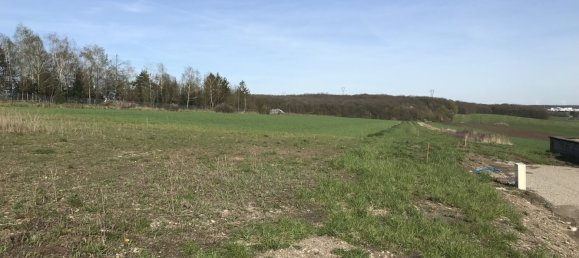  قطعة أرض في Ernestviller, France رقم 93949 5