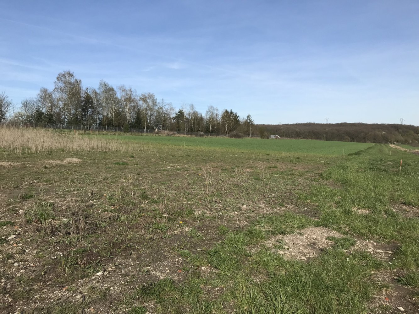  قطعة أرض في Ernestviller, France رقم 93949