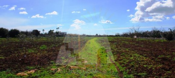 1 bedroom Land in Presicce Acquarica, Italy No. 236555 7