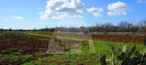 1 bedroom Land in Presicce Acquarica, Italy No. 236555 6