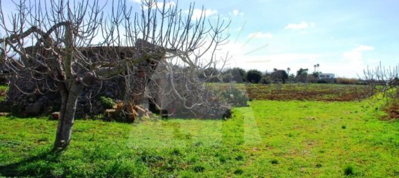 1 bedroom Land in Presicce Acquarica, Italy No. 236555 2