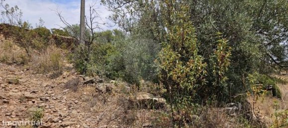 1 bedroom House in Sao Bras de Alportel, Portugal No. 186109 5