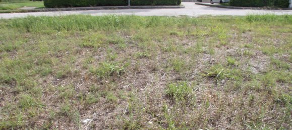 Grundstück in Spoleto, Italy 1215m², Nr. 69036 19