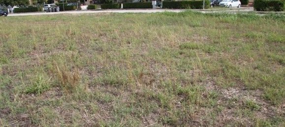 Grundstück in Spoleto, Italy 1215m², Nr. 69036 21