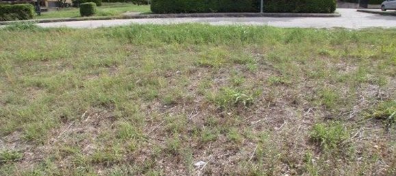 Grundstück in Spoleto, Italy 1215m², Nr. 69036 5