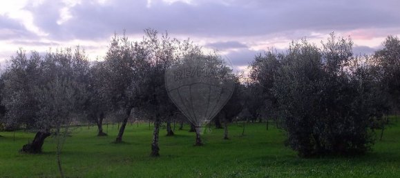 Дом с 9 спальнями в Кандоза, Португалия № 55731 6