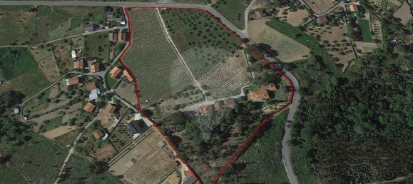 Дом с 9 спальнями в Кандоза, Португалия № 55731 41