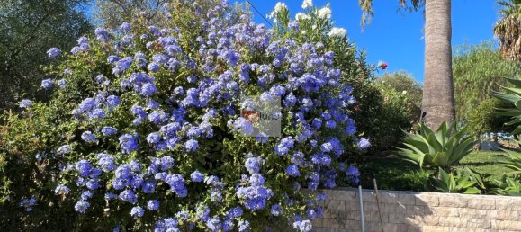3 chambres Villa à Tavira, Portugal No. 152102 40