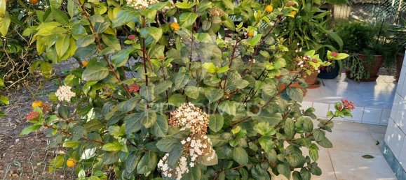 Casa de 3 dormitorios en Setubal, Portugal No. 82874 7