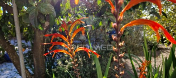 Casa de 3 dormitorios en Setubal, Portugal No. 82874 8