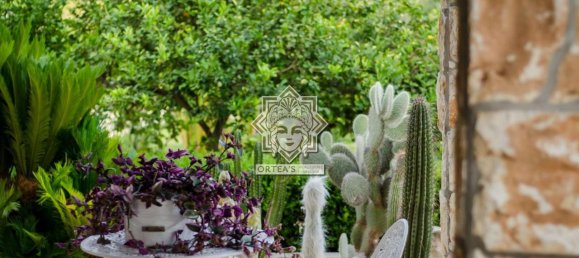 16 rooms Villa in Syracuse, Italy No. 244782 27