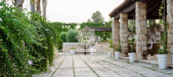 16 rooms Villa in Syracuse, Italy No. 244782 28