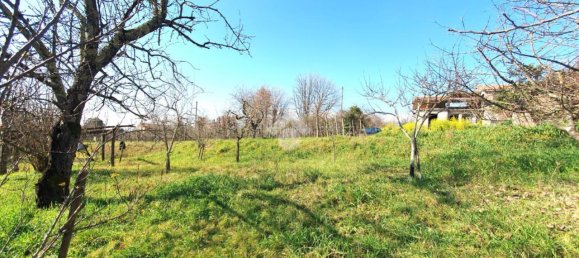 4 rooms Villa in Serrone, Italy No. 70675 2