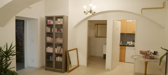 Коммерческая недвижимость с 4 комнатами в Леопольдштадт, Австрия № 53310 6