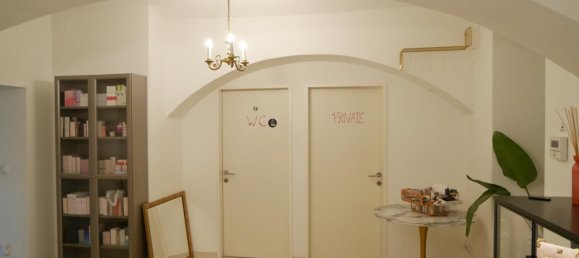 Коммерческая недвижимость с 4 комнатами в Леопольдштадт, Австрия № 53310 7