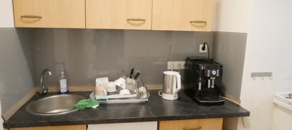 Коммерческая недвижимость с 4 комнатами в Леопольдштадт, Австрия № 53310 15