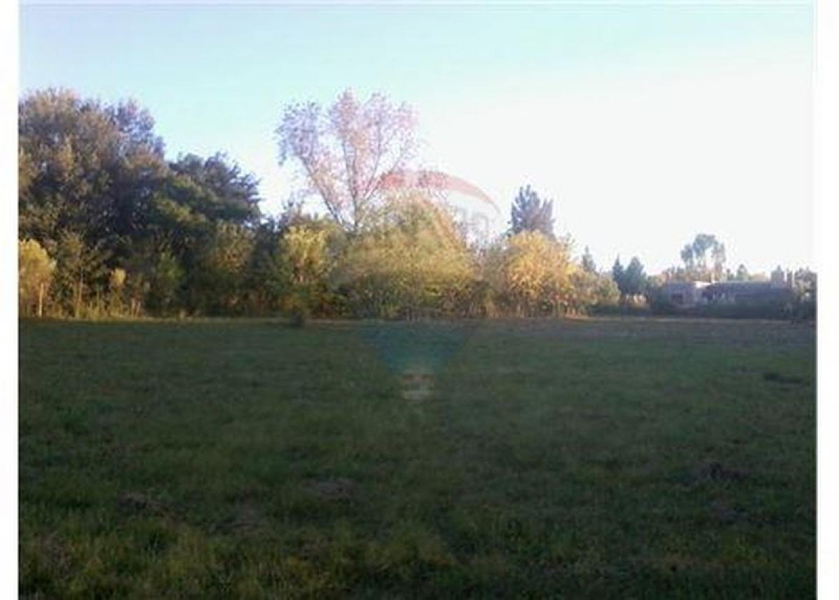  Land in Pilar, Argentina No. 40079