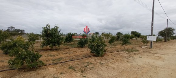 Земельный участок 100000м² в Гия, Португалия № 10075 10