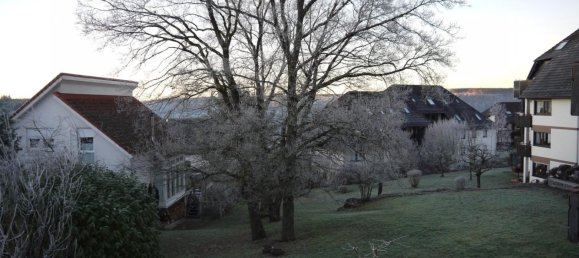 1 غرف نوم شقة في Baden-Wurttemberg, Germany رقم 10981 4