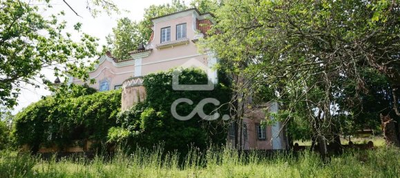 9 bedrooms House in Tramagal, Portugal No. 29947 6