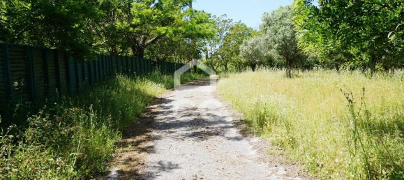 9 bedrooms House in Tramagal, Portugal No. 29947 31