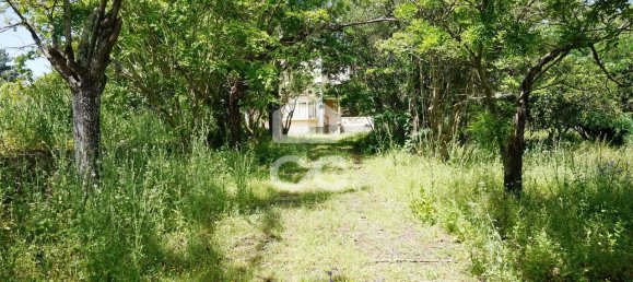 9 bedrooms House in Tramagal, Portugal No. 29947 29