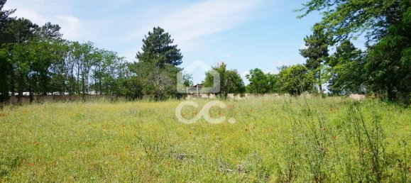 9 bedrooms House in Tramagal, Portugal No. 29947 28